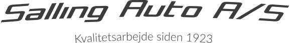 salling-auto-logo